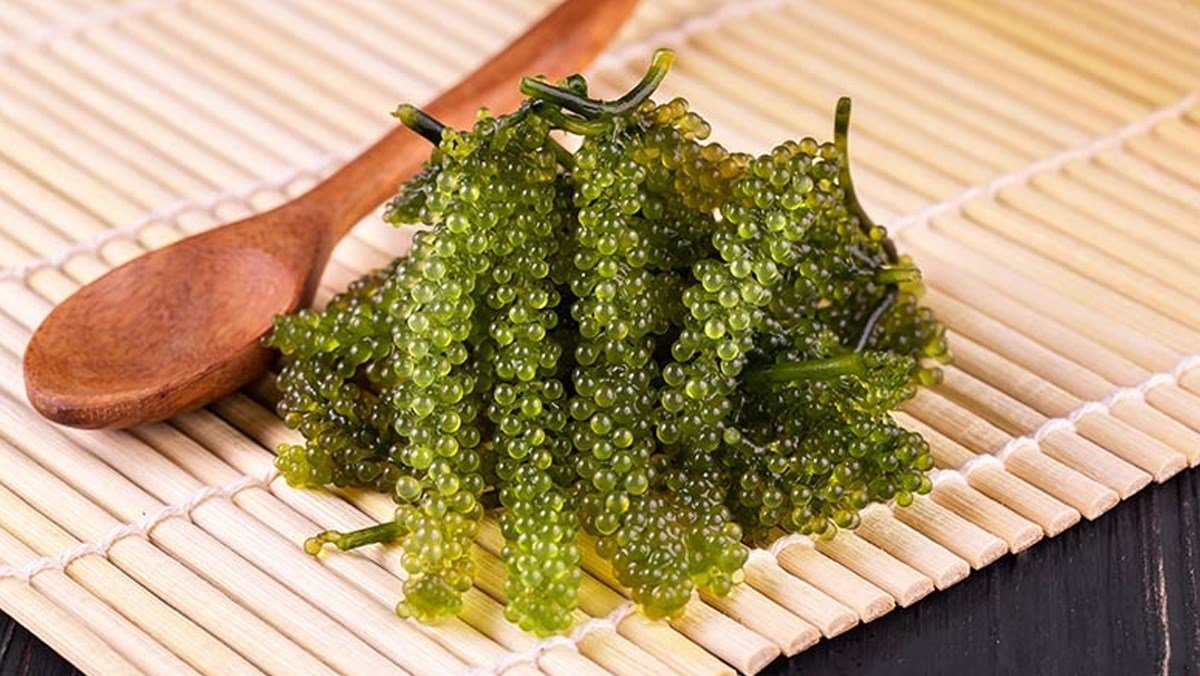 1 box of dehydrated seaweed 175g includes 5 35g packs with free roasted sesame sauce, not salty or fishy - Image 9