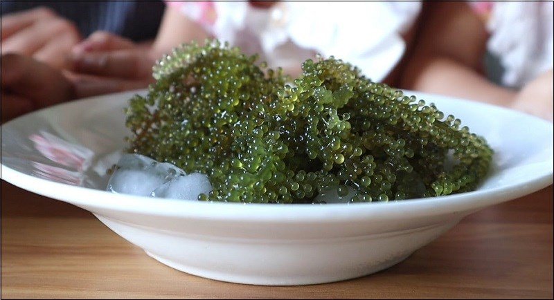 1 box of dehydrated seaweed 175g includes 5 35g packs with free roasted sesame sauce, not salty or fishy - Image 4