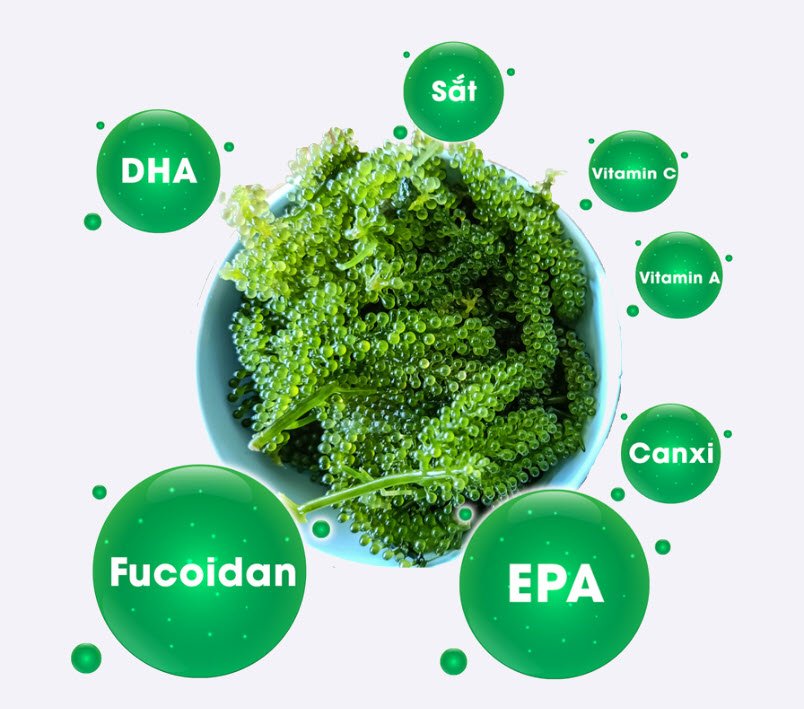 1 box of dehydrated seaweed 175g includes 5 35g packs with free roasted sesame sauce, not salty or fishy - Image 3